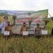 Bupati Blora Arief Rohman (tengah) dalam kegiatan panen bersama Sekolah Lapang Padi, Jepon, Blora, Senin, 23 Juni 2025. (Dok. Pemkab Blora/Harianmuria.com)