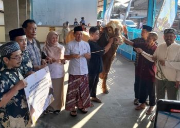 Bupati Kudus Sam’ani Intakoris menyerahkan Joyo Selamet, sapi kurban bantuan Presiden RI Prabowo Subianto kepada panitia kurban di Masjid Darul Muttaqin, Desa Pasuruan Lor, Kecamatan Kaliwungu pada Sabtu, 7 Juni 2025. (Fahtur Rohman/Harianmuria.com)