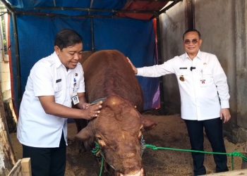 Bupati Pati Sudewo menyerahkan sapi kurban bantuan Presiden Prabowo untuk warga Desa Wateshaji, Kecamatan Pucakwangi, Rabu, 4 Juni 2025. (Mutia Parasti/Harianmuria.com)