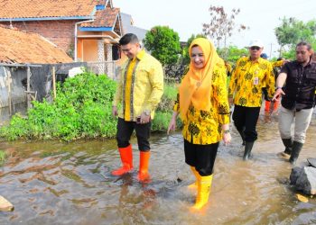 Bupati Pekalongan Fadia Arafiq meninjau lokasi tedampak banjir rob di Desa Jeruksari, Kecamatan Tirto, Selasa, 3 Juni 2025. (Fahri Akbar/Harianmuria.com)