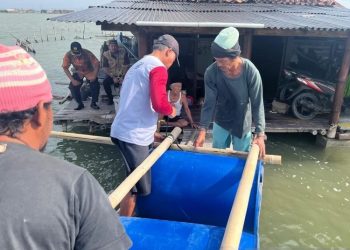 Proses pembangunan rumah apung bagi warga terdampak rob di Sayung, Kabupaten Demak. (Dok. Pemprov Jateng/Harianmuria.com)