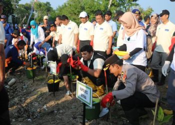 Aksi penanaman bibit mangrove di Pantai Tanggultlare, Kecamatan Kedung, Jepara pada Kamis, 5 Juni 2025. (Tomi Budianto/Harianmuria.com)