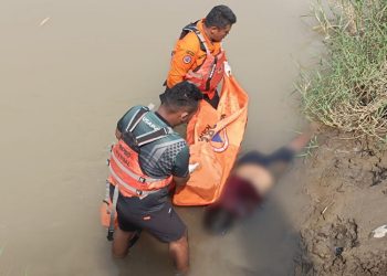 Tim BPBD Kendal mengevakuasi mayat perempuan yang ditemukan mengambang di Sungai Bodri. (Dok. BPBD Kendal/Harianmuria.com)