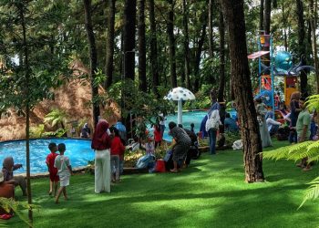 Wahana Water Park di area Pijar Park, Desa Kajar, Kecamatan Dawe, Kudus, menghadirkan sensai berenang di bawah rindangnya pohon pinus. (Nisa HS/Harianmuria.com)