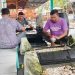 Relawan bergotong-royong melakukan pengecatan nisan di kompleks Makam Sunan Pojok di Blora, Minggu, 29 Juni 2025. (Eko Wicaksono/Harianmuria.com)