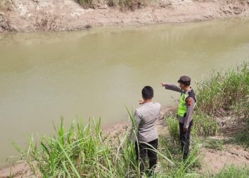 Petugas kepolisian melakukan olah tempat kejadian perkara (TKP) tenggelamnya remaja asal Demak di Sungai Tuntang yang masuk wilayah Desa Ngroto, Kecamatan Gubug, Kabupaten Grobogan. (Dok. Polres Grobogan/Harianmuria.com)