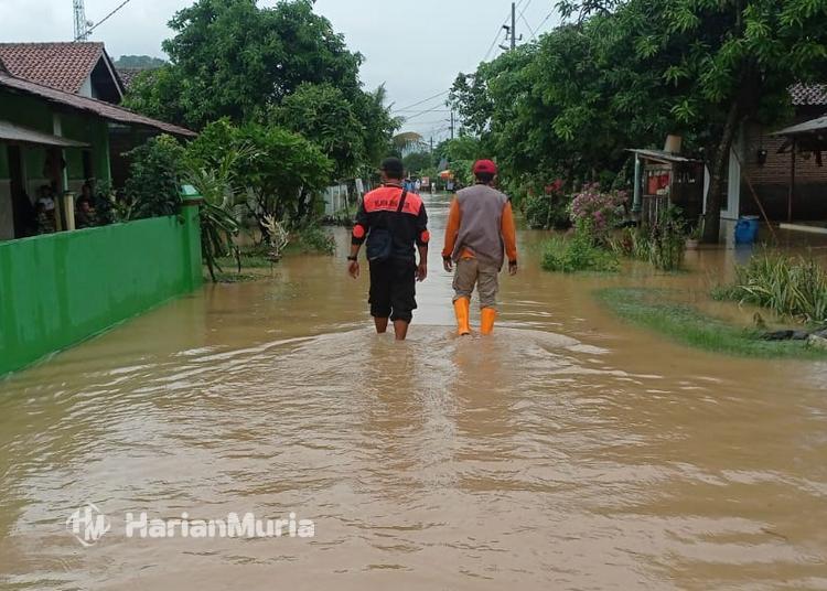 BPBD Jepara Imbau Warga di Wilayah Rawan Banjir Rob Waspada saat Cuaca Ekstrem - Harianmuria BPBD Jepara meminta warga pesisir meningkatkan kewaspadaan terhadap potensi banjir rob di tengah cuaca ekstrem dan gelombang tinggi.