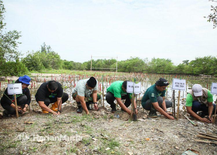 BPBD Jepara mengimbau warga pesisir untuk waspada terhadap potensi gelombang ekstrem dan abrasi.