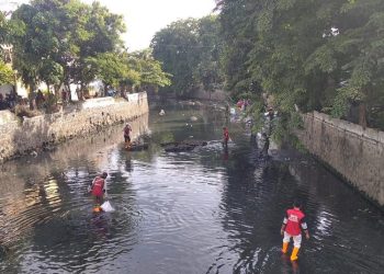 Cegah Sumbatan, Pemkot Semarang Terjunkan 200 Personel untuk Resik-Resik Kali - Harianmuria Pemkot Semarang terjunkan 200 personel untuk kegiatan resik-resik kali sebagai antisipasi genangan saat musim hujan.