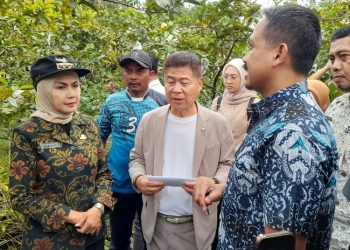 Kunjungan Wali Kota Sue Machi, Jepang, ke perkebunan kopi di Kendal membuka peluang besar ekspor kopi arabika dan robusta ke pasar Jepang.