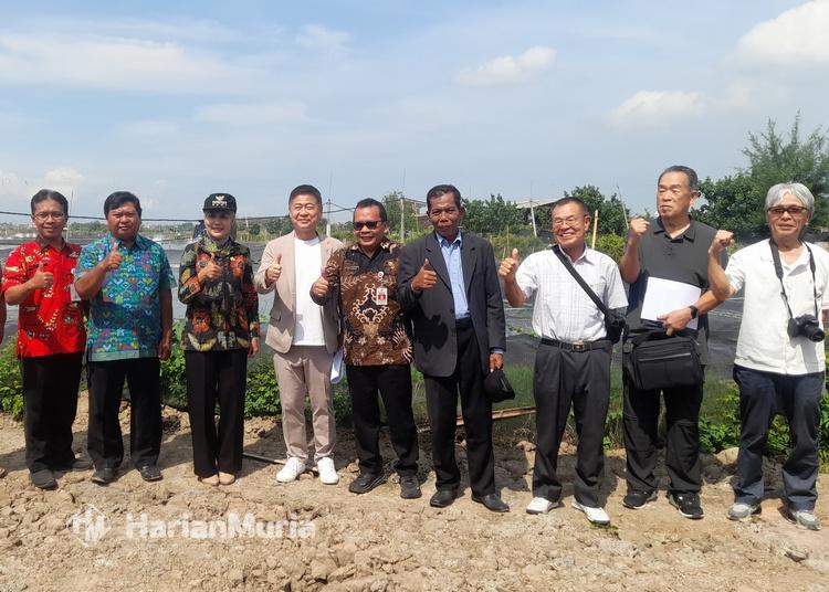 Wali Kota Sue Machi, Jepang, meninjau tambak udang vaname di Kendal dan menjajaki peluang impor serta investasi.