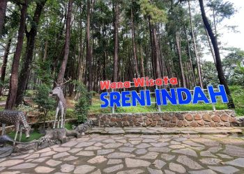 Wisata Sreni Jepara menjadi favorit wisatawan dengan panorama perbukitan hijau, udara sejuk, spot foto kekinian, hingga fasilitas yang terus dibenahi.