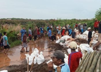 Tanggul darurat Sungai Sengkarang di Wonokerto Pekalongan kembali kritis, warga gotong royong melakukan pengurukan.