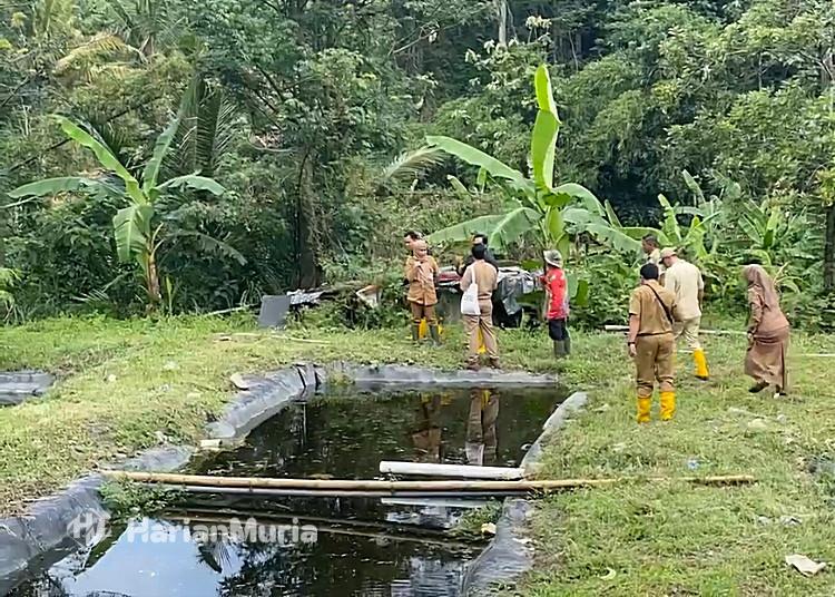 Air Lindi TPA Blondo Cemari Sungai Bade, Petani Gagal Panen dan Ternak Mati - Harianmuria Air lindi dari TPA Blondo Bawen mencemari Sungai Bade, menyebabkan lahan pertanian gagal panen dan hewan ternak mati.