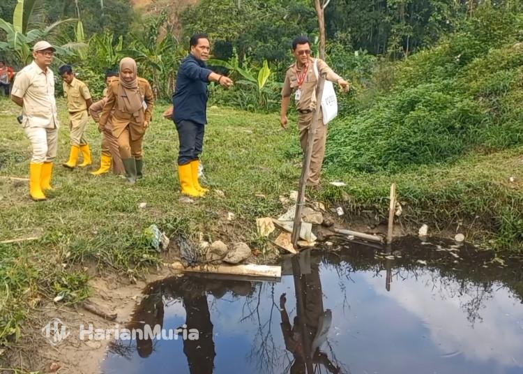 Air Lindi TPA Blondo Cemari Sungai Bade, Petani Gagal Panen dan Ternak Mati - Harianmuria Air lindi dari TPA Blondo Bawen mencemari Sungai Bade, menyebabkan lahan pertanian gagal panen dan hewan ternak mati.