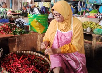 Harga cabai di Salatiga melonjak akibat gagal panen imbas cuaca buruk, pedagang khawatir krisis pasokan akan berlangsung jelang libur Nataru.