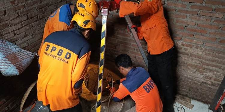 BPBD Jepara sigap menangani berbagai bencana Desember 2025, mulai pohon tumbang, rumah rusak, hingga evakuasi warga dan hewan berbahaya.