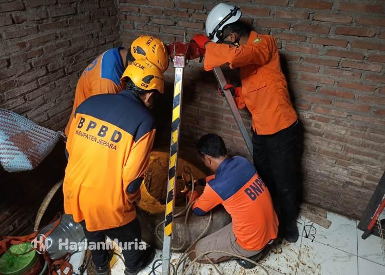 BPBD Jepara Gerak Cepat Tangani Serangkaian Kejadian Bencana Selama Desember 2025 - Harianmuria BPBD Jepara sigap menangani berbagai bencana Desember 2025, mulai pohon tumbang, rumah rusak, hingga evakuasi warga dan hewan berbahaya.