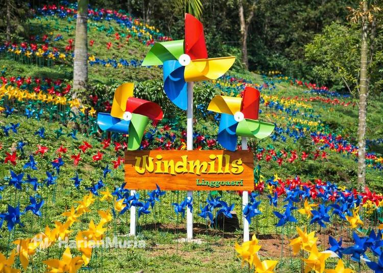 Spot Foto Kincir Angin Percantik Wisata Linggo Asri Pekalongan, Jadi Magnet Libur Tahun Baru 2026 - Harianmuria Wisata Linggo Asri Pekalongan menghadirkan spot foto Windmills berupa ratusan kincir angin warna-warni yang jadi magnet wisatawan jelang libur Tahun Baru 2026.