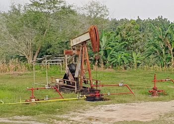 Cabdin ESDM Kendeng Selatan mencatat hanya 3 tambang Galian C dan 4 sumur migas tua di Blora yang memiliki izin resmi.