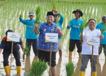 Pemkab Jepara menggandeng BRIN untuk memperkuat mitigasi bencana berbasis teknologi tepat guna melalui Farm Field Day, Petasol, dan penanaman varietas adaptif di kawasan pesisir Desa Suwawal.