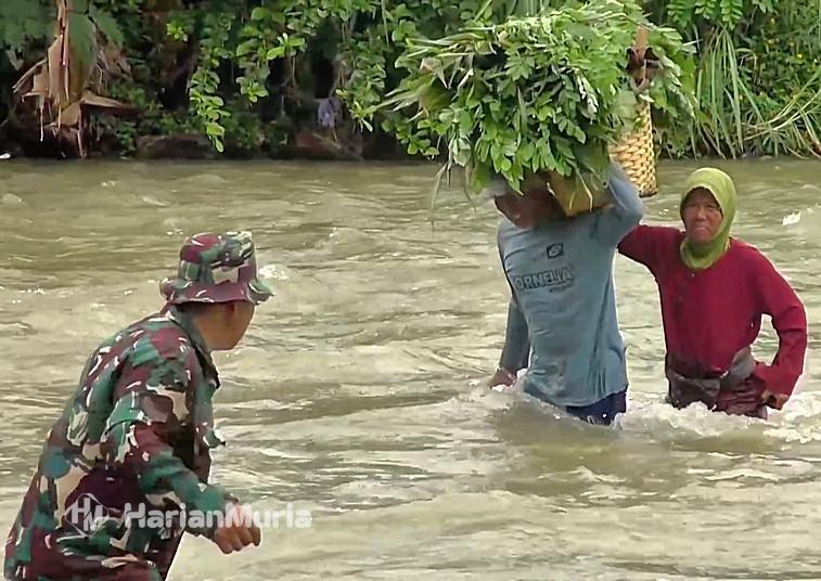 Warga Tak Lagi Bertaruh Nyawa, Jembatan Gantung Kalikurmo–Sambiroto Akhirnya Dibangun - Harianmuria Setelah puluhan tahun menyeberangi Sungai Tuntang secara manual, warga Desa Kalikurmo (Semarang) dan Sambiroto (Grobogan) akhirnya memiliki jembatan gantung hasil kolaborasi TNI AD dan VRI.