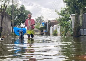 Kudus Ajukan Dana Pemulihan Pascabencana Rp394 M, Fokus Infrastruktur-Pertanian