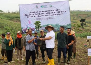Hijaukan 593 Hektare Lahan di Grobogan, KTH Mekar Jaya Dorong Kemandirian Masyarakat Hutan - Harianmuria KTH Mekar Jaya hijaukan 593 hektare lahan hutan di Grobogan melalui perhutanan sosial, dorong kemandirian ekonomi dan kelestarian lingkungan.