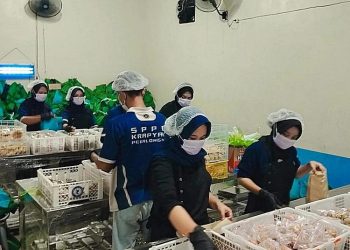 Sebanyak 22 dapur SPPG di Kota Pekalongan telah mengantongi Sertifikat Laik Higiene Sanitasi (SLHS) sesuai standar Badan Gizi Nasional untuk menjamin keamanan pangan.