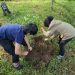 Aksi unik warga adopsi 500 bibit pohon jambu untuk menghijaukan lereng Gunung Merbabu di Getasan, Kabupaten Semarang, demi menjaga kawasan tangkapan air.
