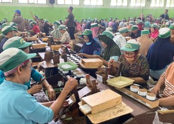 DBHCHT Kudus 2026 Menyusut, BLT Cukai Hanya Rp300 Ribu - Harianmuria DBHCHT Kudus 2026 Menyusut, BLT Cukai Hanya Rp300 Ribu