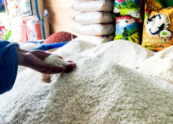 DKPP Jepara: Stok Beras Jelang Ramadhan 38.853 Ton, Harga Stabil