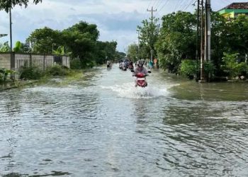 DPRD Pati Dorong Skema Rabat Beton untuk Peninggian Jalan Guyangan-Glonggong