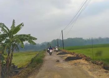 Dewan Sorot Pentingnya Pembangunan Jalan untuk Akses Pertanian di Pati selatan