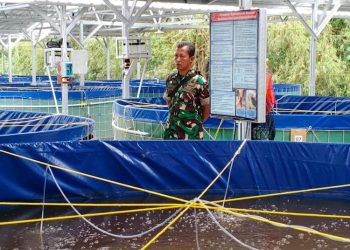 Koperasi Merah Putih di Blora Dapat Bantuan Tematik Budi Daya Lele Bioflok 