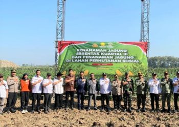 Muslihan Dorong Kolaborasi Lintas Sektor Dukung Swasembada Pangan di Pati