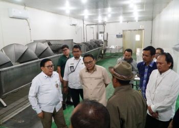 Pati Jalin Sinergi Pusat-Daerah Stabilkan Distribusi DOC Ayam Broiler