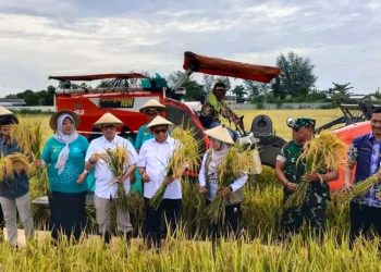 Perkuat Ketahanan Pangan, DPRD Pati Dukung Program 1 Hektare 10 Ton