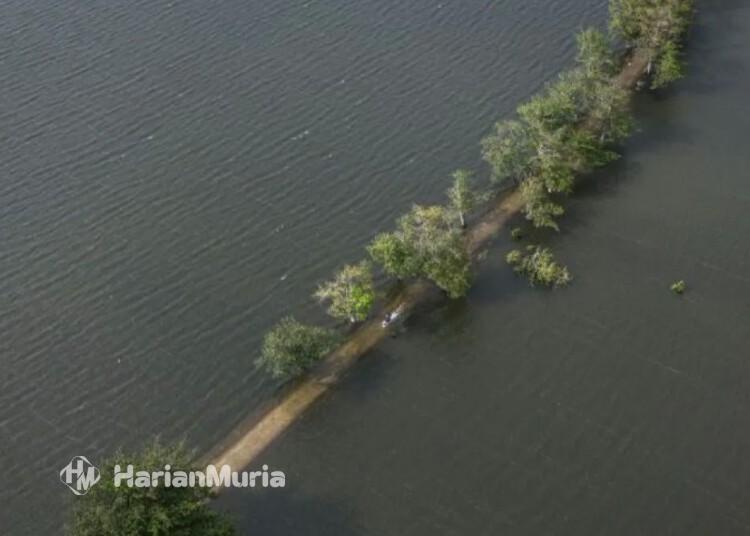 Mohammad Saleh Dorong Pemda Beri Bantuan Petani Terdampak Banjir di Jateng - Harianmuria Mohammad Saleh Dorong Pemda Beri Bantuan Petani Terdampak Banjir di Jateng | Harianmuria