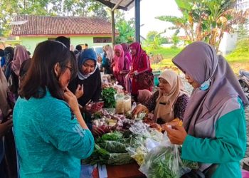 Harga Cabai Rawit di Rembang Tembus Rp98 Ribu Jelang Lebaran