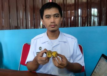Heboh Ubi MBG Diduga Busuk di Randublatung Blora, SPPG Buka Suara