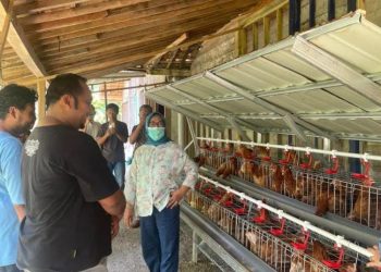 Peternak Milenial di Blora Terima Bantuan Kandang dan Ayam Program CSR