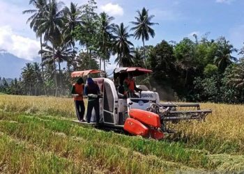 Program KUR Alsintan, Petani di Grobogan Bisa Pinjam hingga Rp500 Juta - Harianmuria Program KUR Alsintan, Petani di Grobogan Bisa Pinjam hingga Rp500 Juta