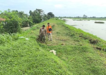 Tanggul Sungai Wulan di Kudus Geser, BBWS Jelaskan Penyebabnya