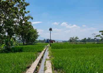 Pemkab Kudus Ajukan Pembangunan 40 Titik Irigasi ke Pusat