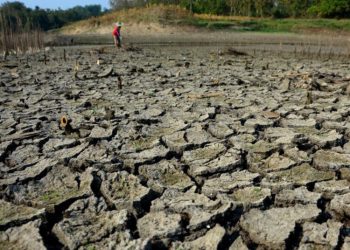 Bencana Kekeringan Panjang Intai 14 Kecamatan di Blora Imbas El Nino