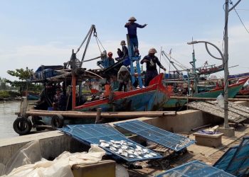 Fenomena El Nino Diprediksi Tekan Produksi Ikan di Kendal