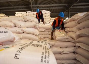 Stok Pupuk Subsidi di Blora Dipastikan Aman Jelang Musim Tanam, NPK Terbanyak - Harianmuria Stok Pupuk Subsidi di Blora Dipastikan Aman Jelang Musim Tanam, NPK Terbanyak
