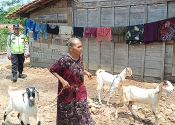 SPPG di Jiken Blora Sumbang 3 Kambing untuk Lansia Korban Kebakaran