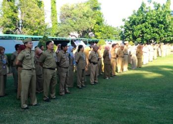 Skema WFH ASN Rembang Masih Disusun, TPP Dipotong atau Tidak?